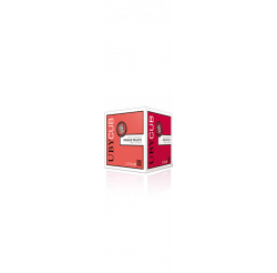 UBY CUB ROUGE  IGP COTE DE GASCOGNE  5L DOMAINE UBY